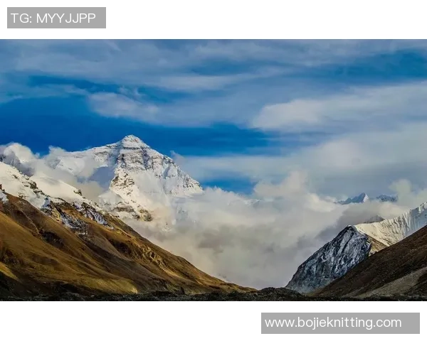 足球巨星阿里赛场辉煌与人生旅程全景解读