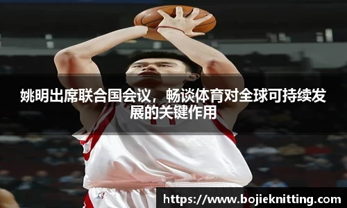 姚明出席联合国会议，畅谈体育对全球可持续发展的关键作用