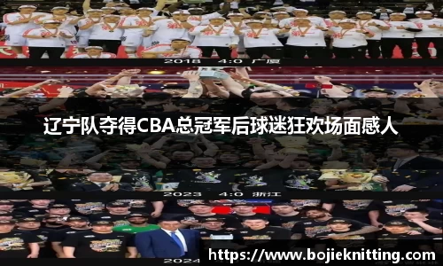 辽宁队夺得CBA总冠军后球迷狂欢场面感人