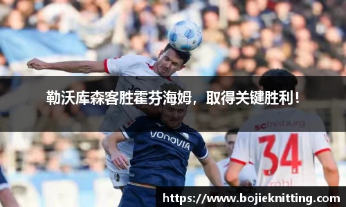 勒沃库森客胜霍芬海姆，取得关键胜利！