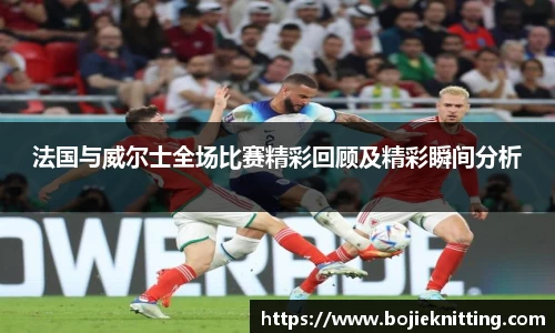 法国与威尔士全场比赛精彩回顾及精彩瞬间分析